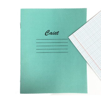 Caiet 12f matem