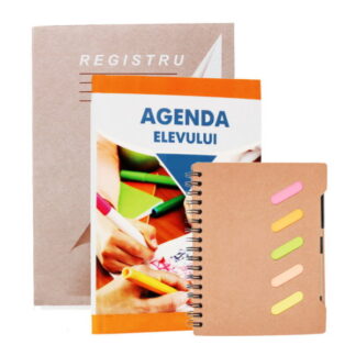 AGENDE/CARNETE/ORGANIZATOARE