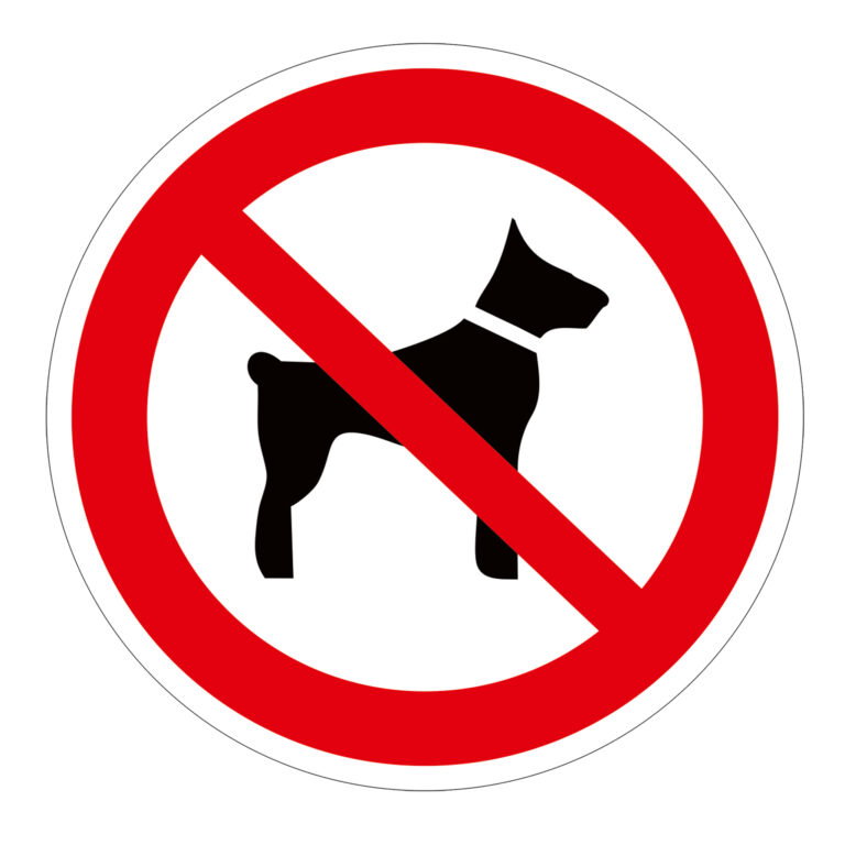 Abtibilduri din oracal